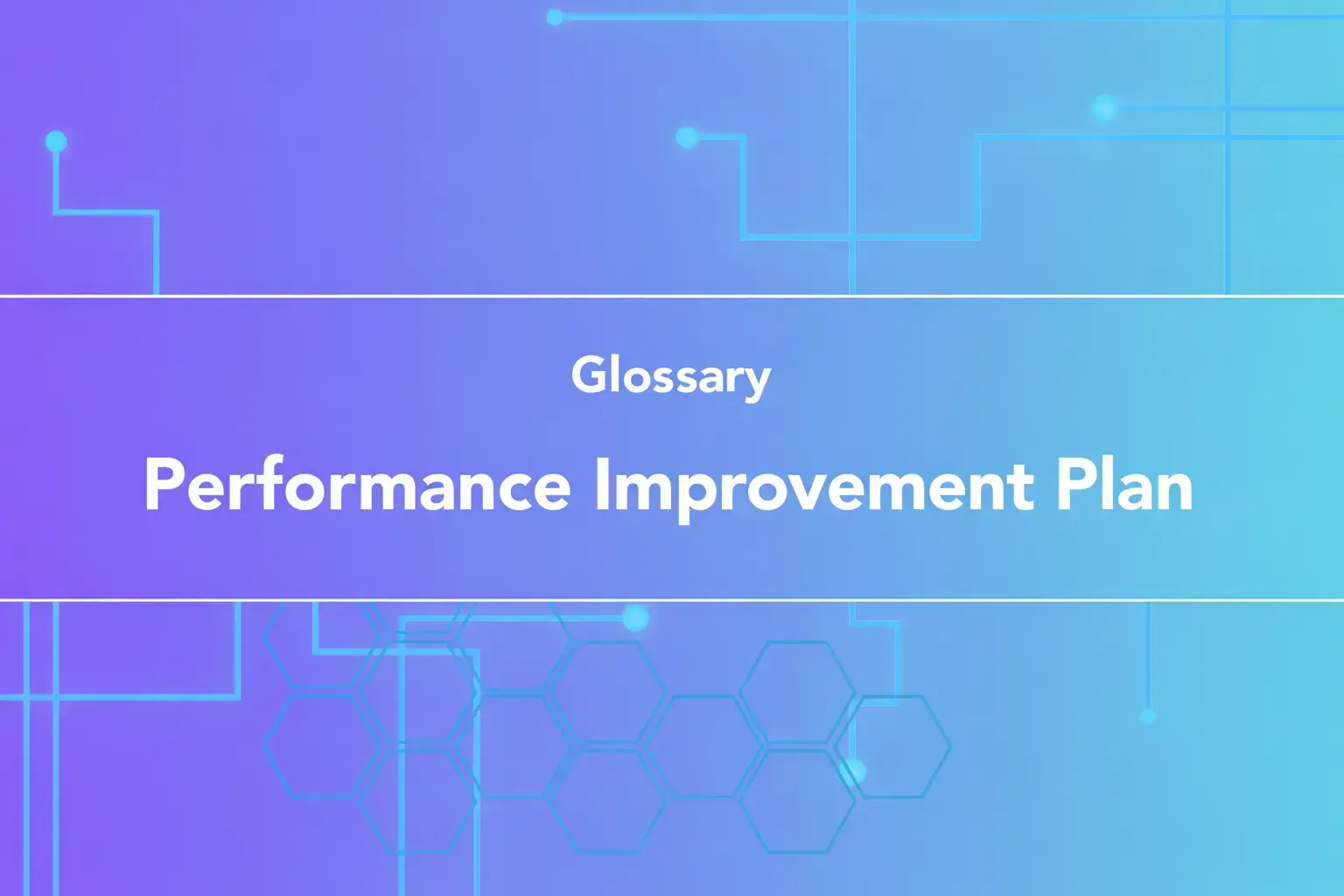 Performance Improvement Plan - PIP